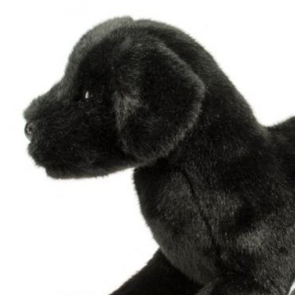 New w/Tag Douglas Plush Dog Black Lab Chester Stuffed Animal - Picture 14 of 14